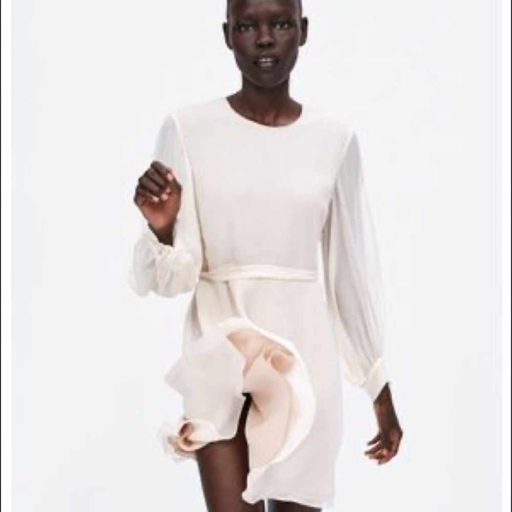 Zara Dress